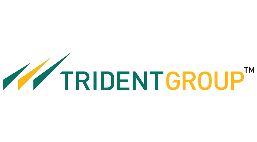 Trident group Logo