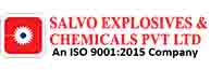 Savlo Explosives Logo